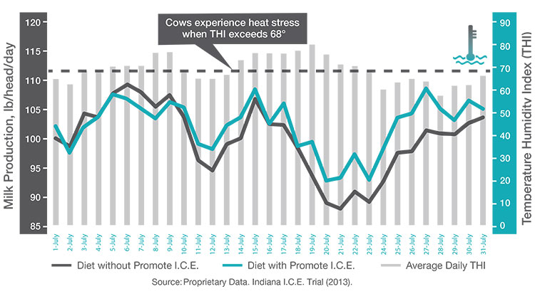 COWS FED PROMOTE I.C.E. PLUS BETTER TOLERATE HEAT